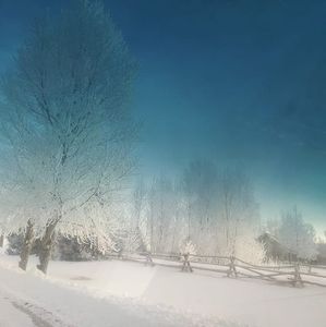 Meet your Posher, Oscar